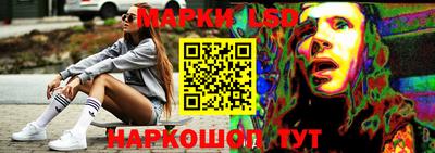 стаф Бузулук