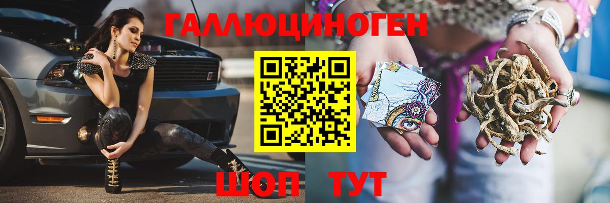 Кириши  Псилоцибиновые грибы GOLDEN TEACHER  Псилоцибиновые грибы мицелий  Вход с VPN 